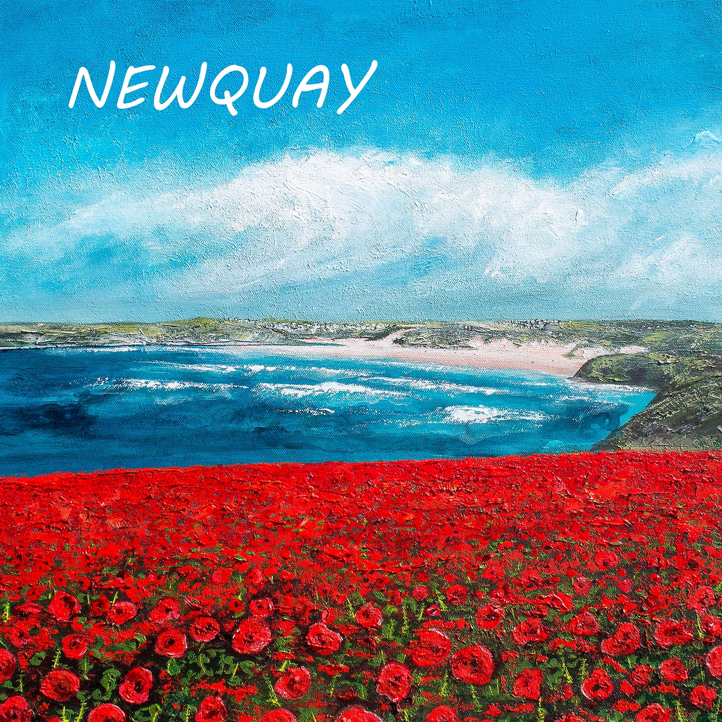 Poppy Fields looking towards Crantock Magnet