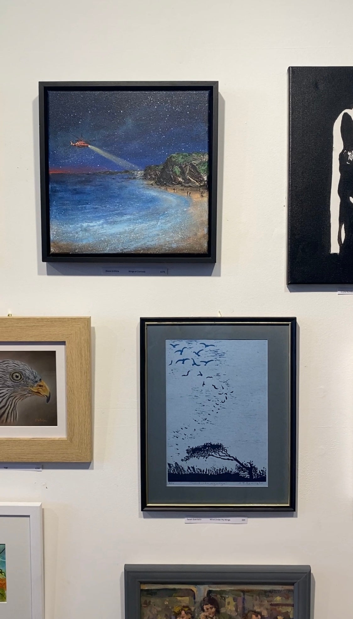 Wings of Cornwall Original Art
