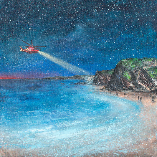 Wings of Cornwall Original Art