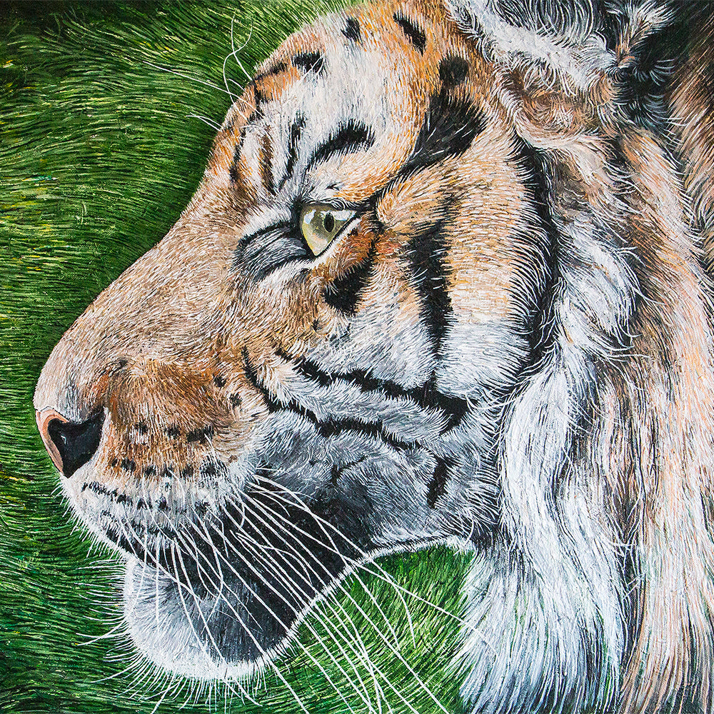 The Tracker Tiger Art Print